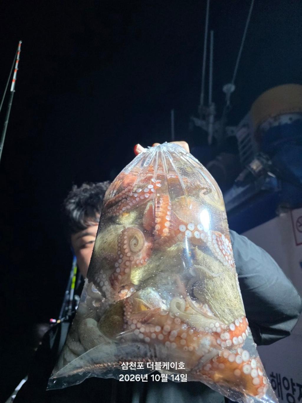 낚시뚜,돌문어,쭈꾸미,삼천포 팔포항,삼천포 더블케이호,낚시뚜22
