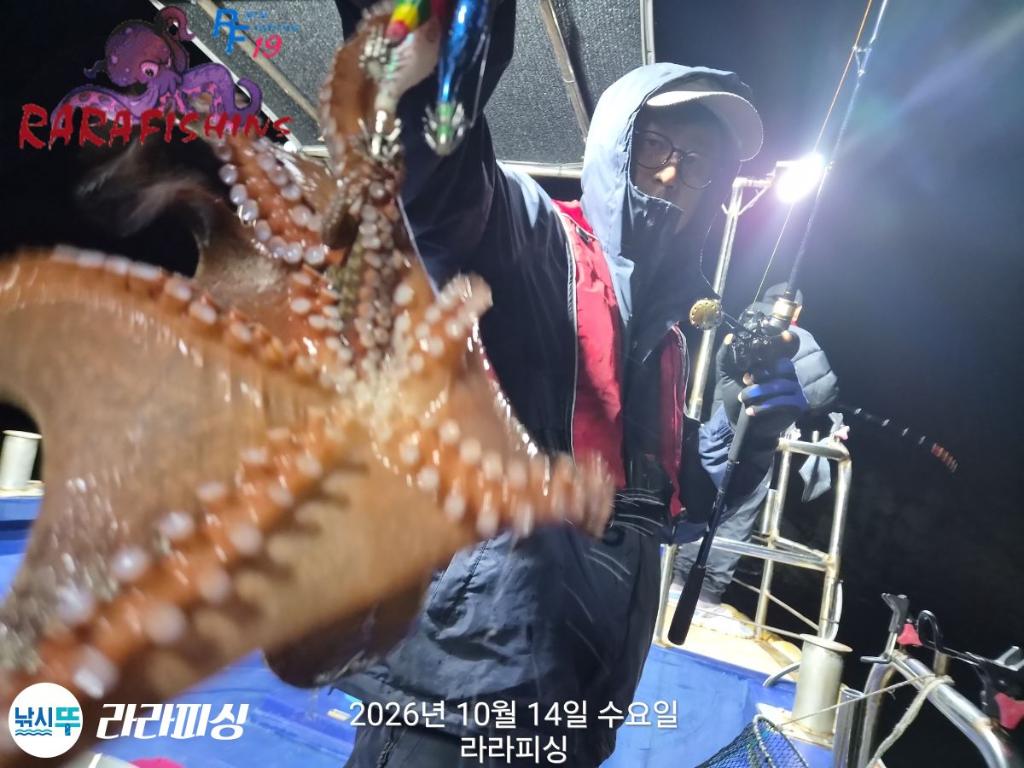 낚시뚜,돌문어,속천항(진해),라라피싱,낚시뚜5