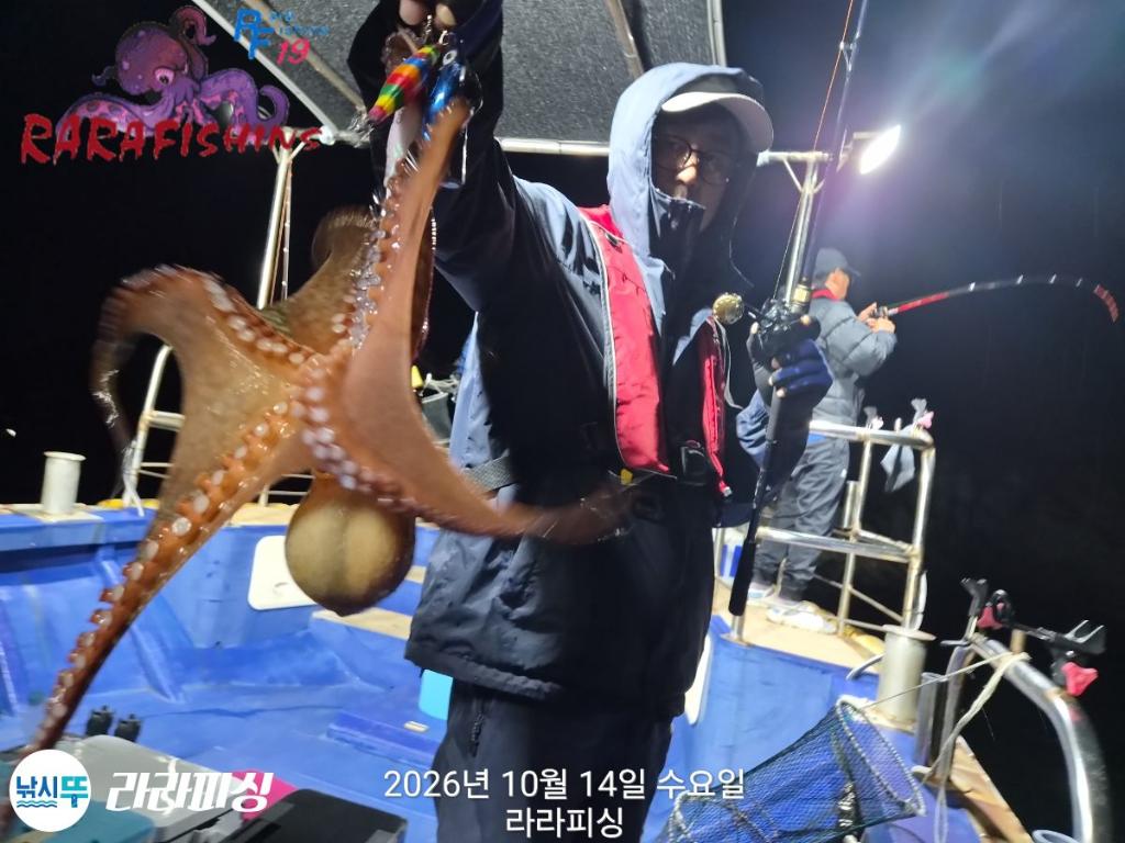 낚시뚜,돌문어,속천항(진해),라라피싱,낚시뚜3