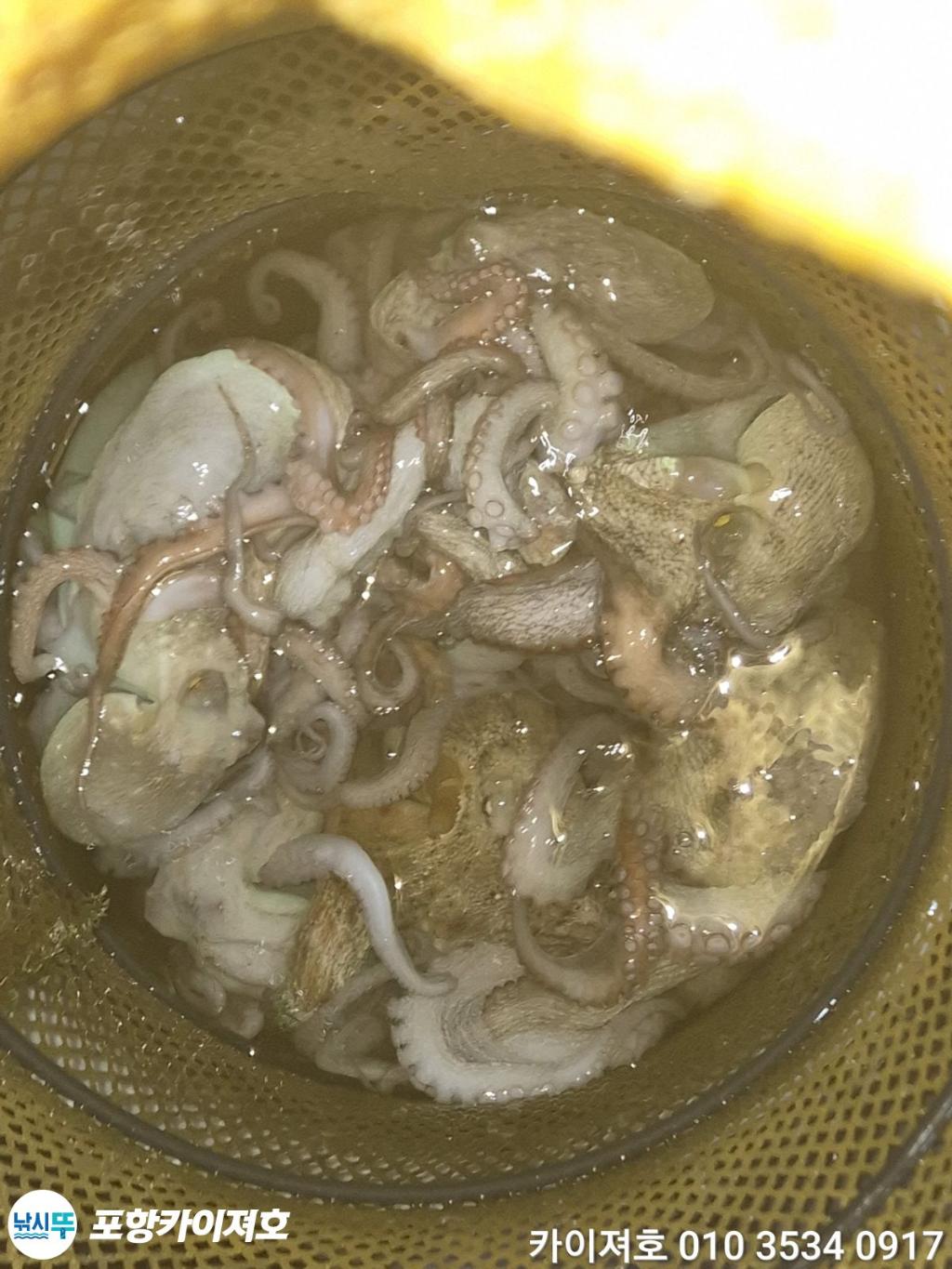 낚시뚜,기타 (직접입력),영일만항,포항카이져호,낚시뚜47