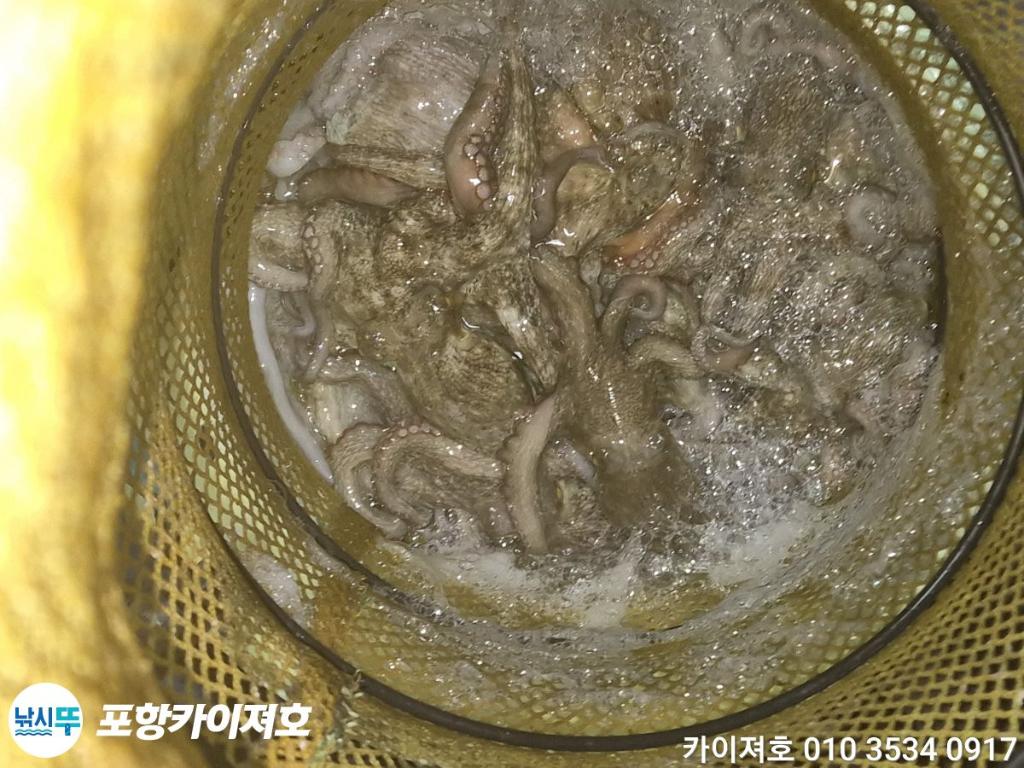 낚시뚜,기타 (직접입력),영일만항,포항카이져호,낚시뚜44