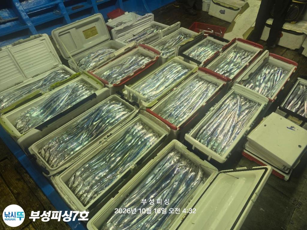 낚시뚜,갈치,통영영운리항,부성피싱7호,낚시뚜27