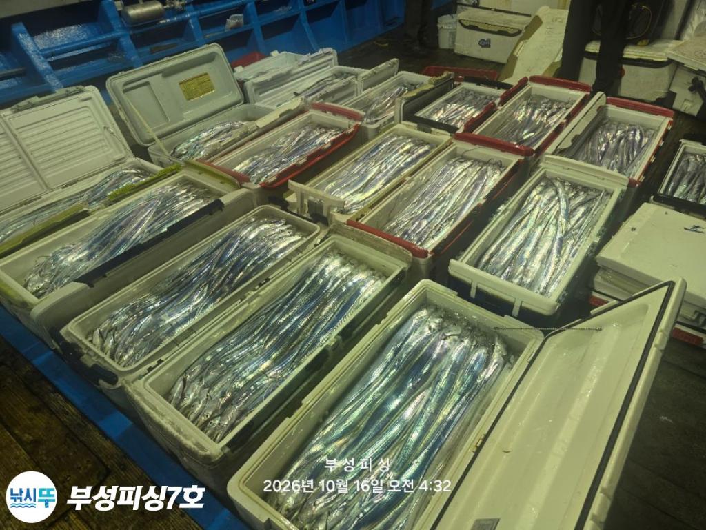 낚시뚜,갈치,통영영운리항,부성피싱7호,낚시뚜2