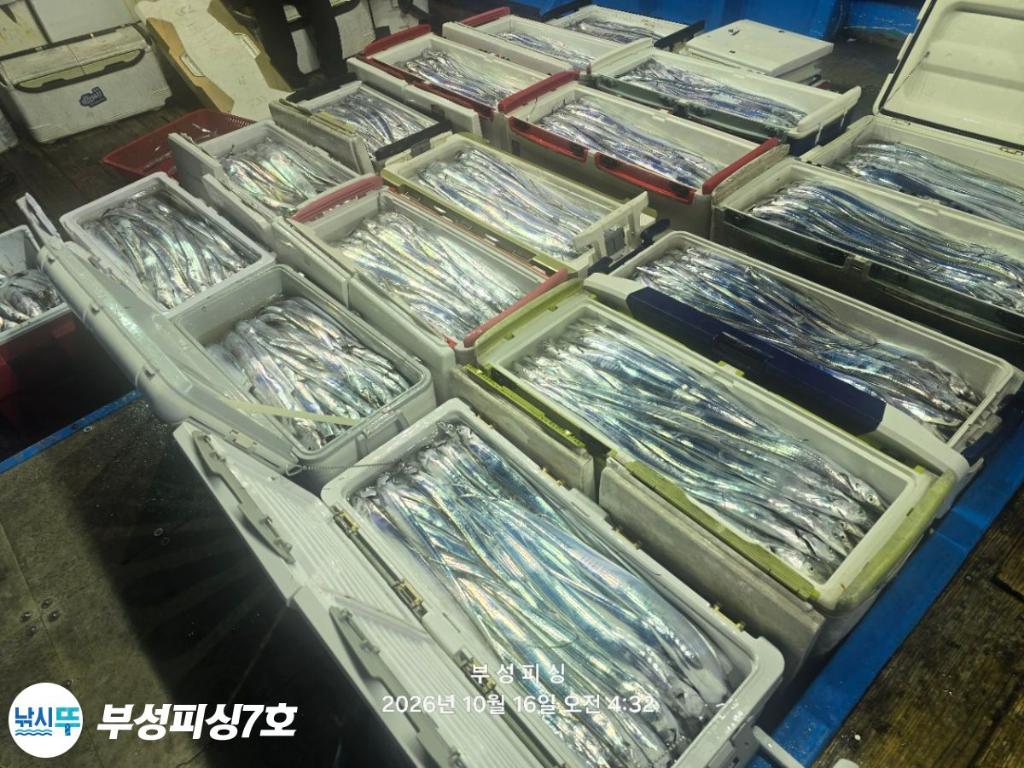 낚시뚜,갈치,통영영운리항,부성피싱7호,낚시뚜1