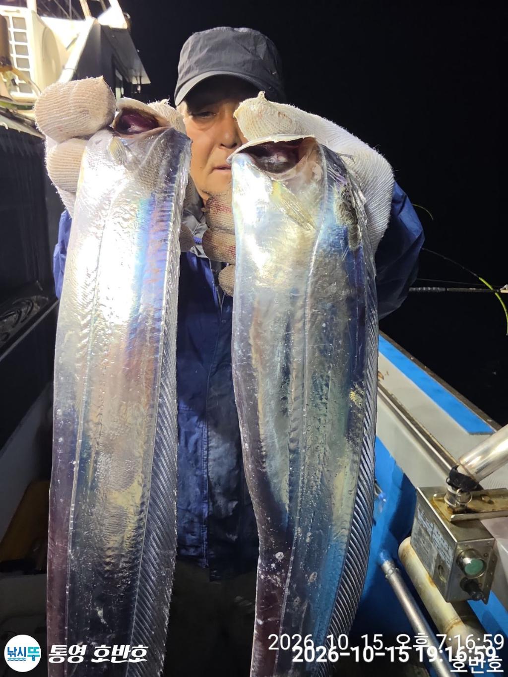 낚시뚜,갈치,통영 신전항,통영호반호,낚시뚜28
