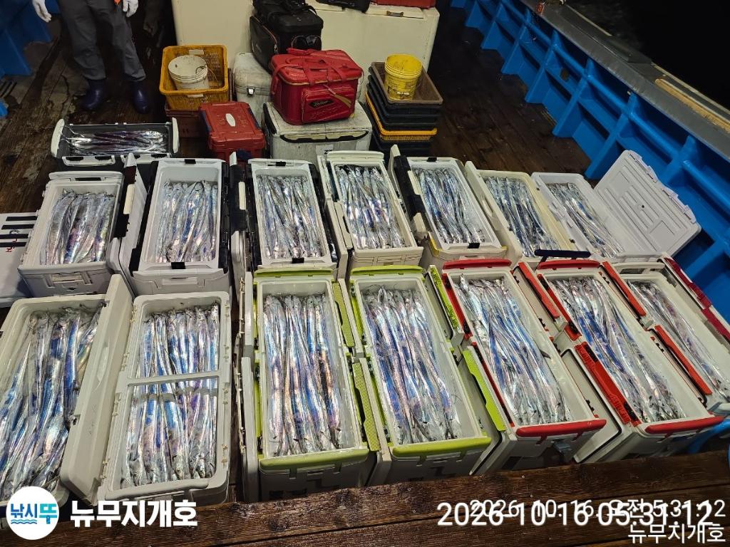 낚시뚜,갈치,통영영운리항,뉴무지개호,낚시뚜21