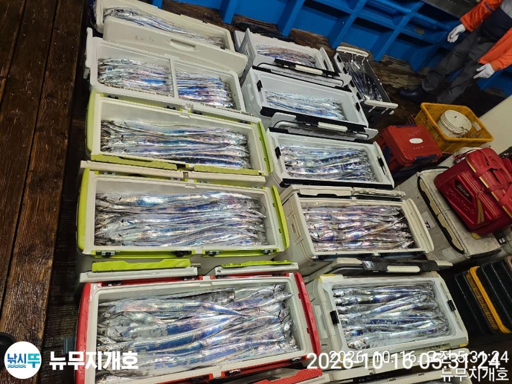 낚시뚜,갈치,통영영운리항,뉴무지개호,낚시뚜20