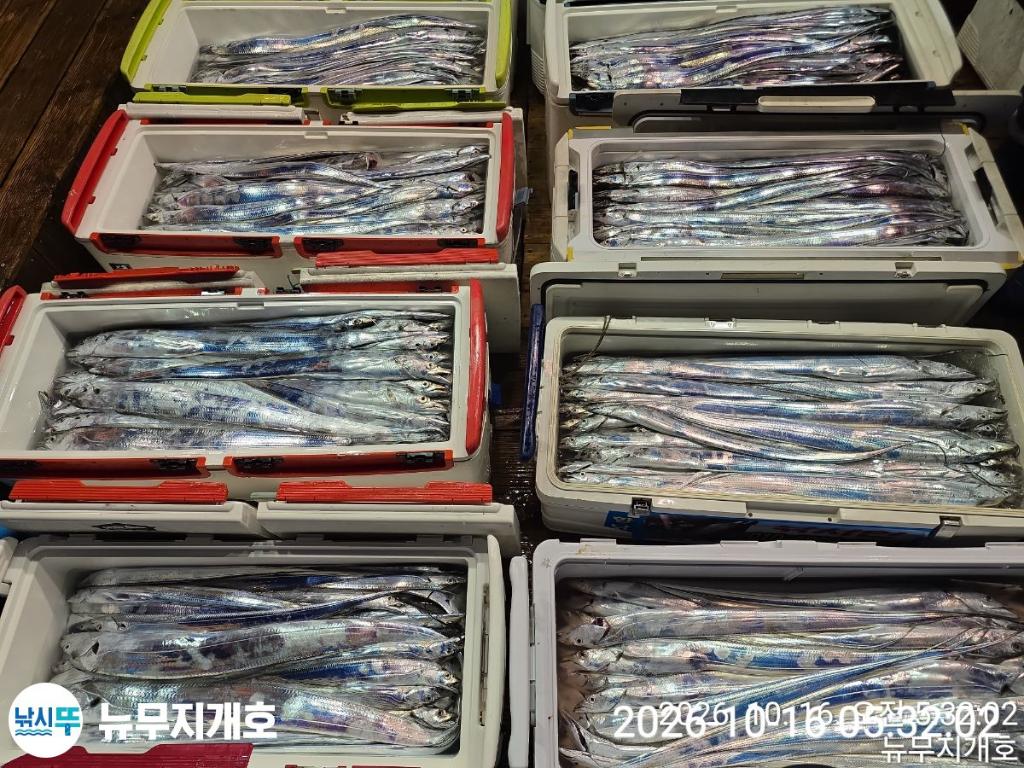 낚시뚜,갈치,통영영운리항,뉴무지개호,낚시뚜19