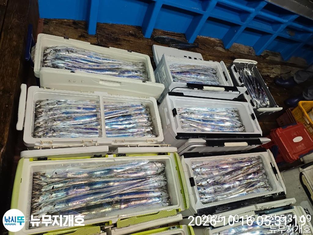낚시뚜,갈치,통영영운리항,뉴무지개호,낚시뚜15