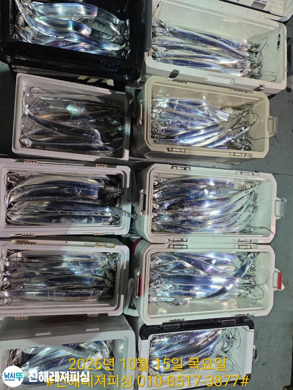 낚시뚜,갈치,진해1부두항,진해레져피싱,낚시뚜19