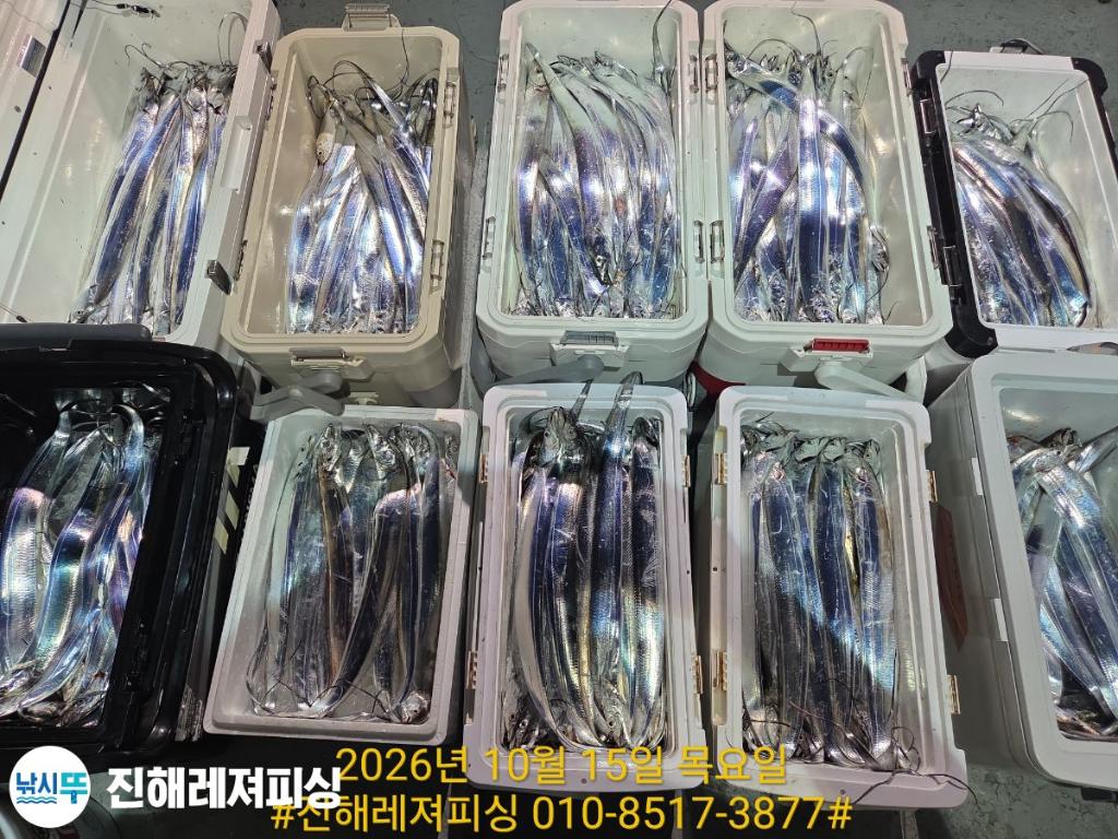 낚시뚜,갈치,진해1부두항,진해레져피싱,낚시뚜17