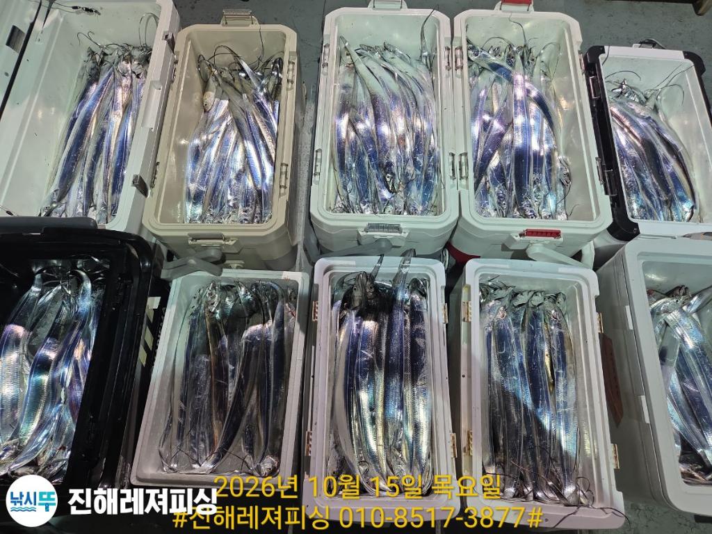 낚시뚜,갈치,진해1부두항,진해레져피싱,낚시뚜16