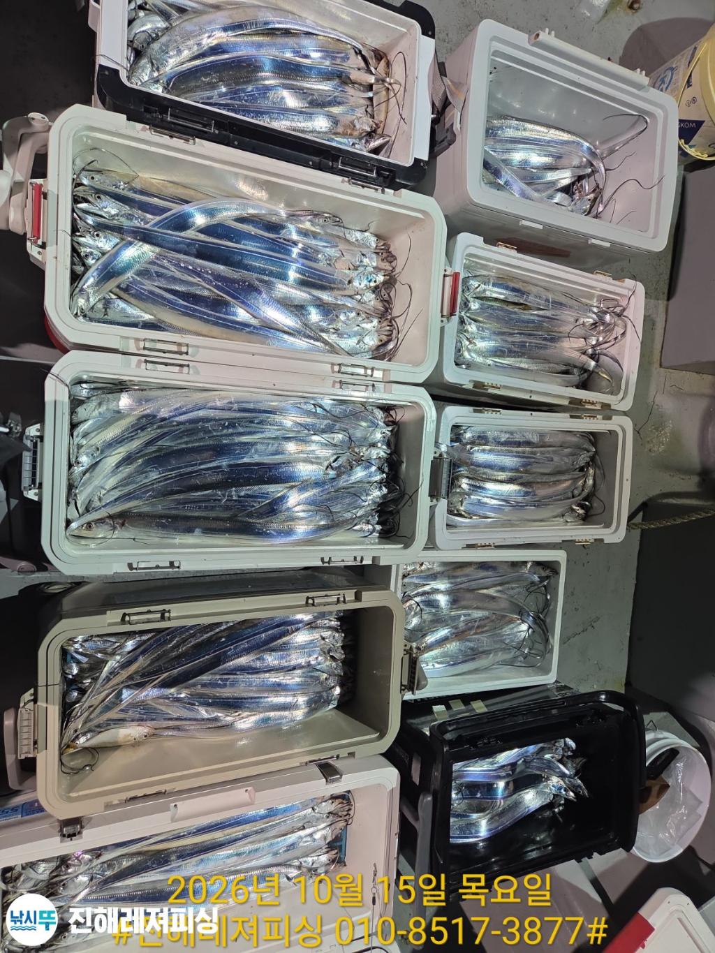 낚시뚜,갈치,진해1부두항,진해레져피싱,낚시뚜15