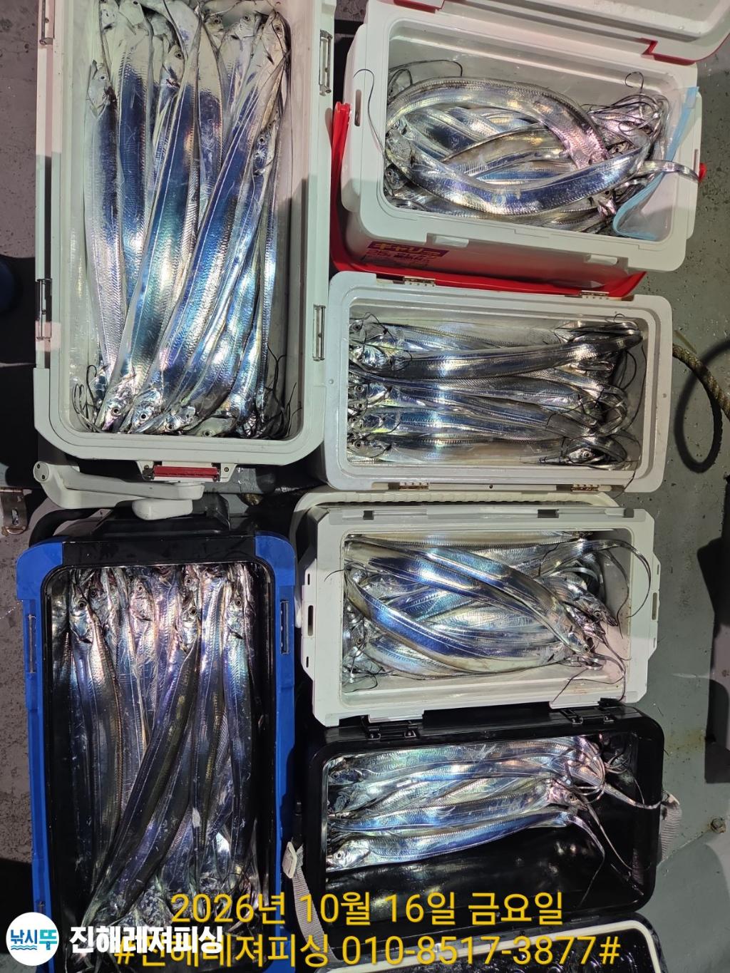 낚시뚜,갈치,진해1부두항,진해레져피싱,낚시뚜14