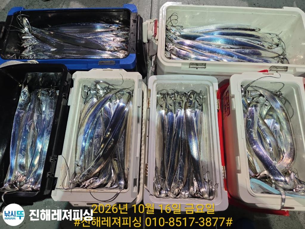 낚시뚜,갈치,진해1부두항,진해레져피싱,낚시뚜13