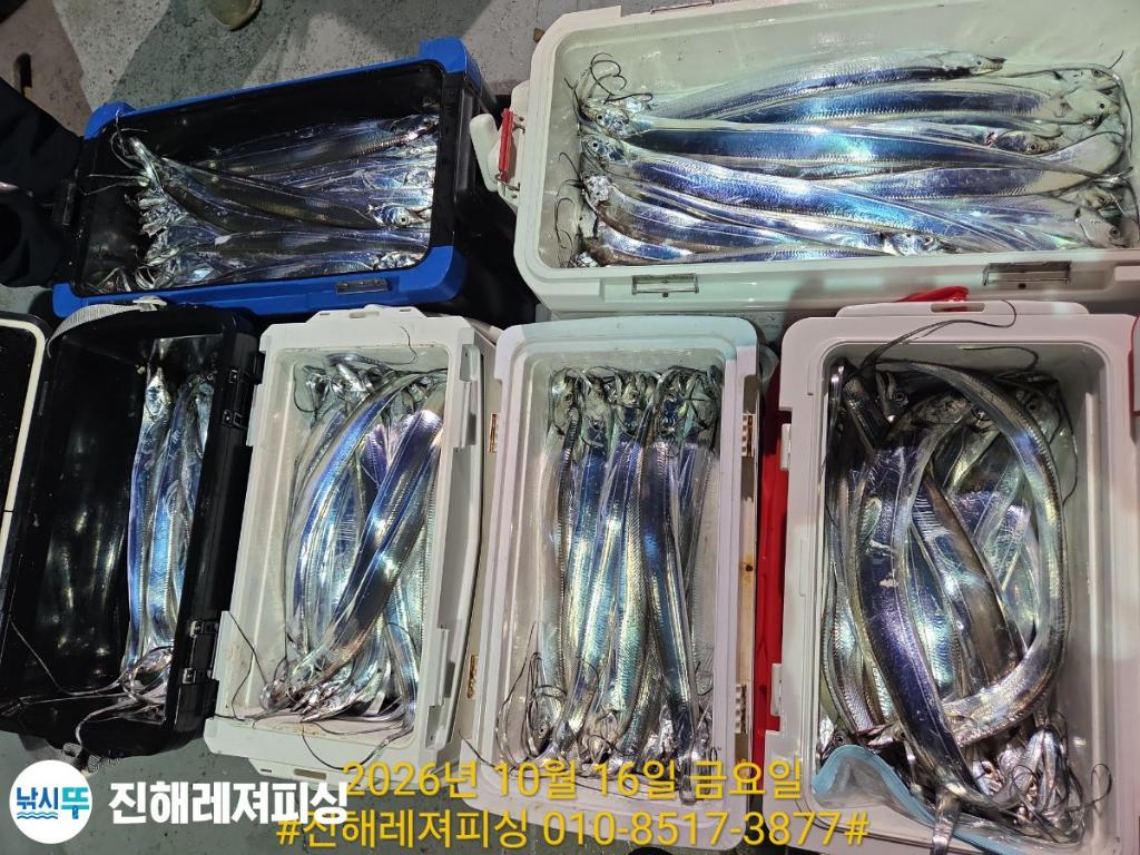 낚시뚜,갈치,진해1부두항,진해레져피싱,낚시뚜12
