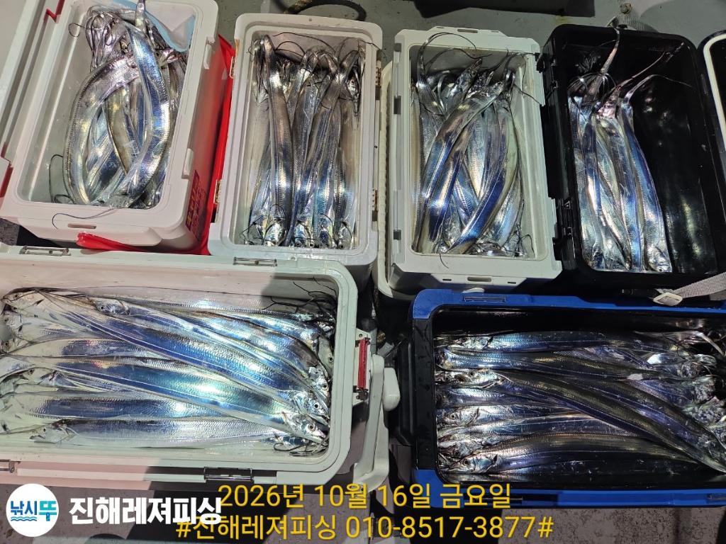 낚시뚜,갈치,진해1부두항,진해레져피싱,낚시뚜11