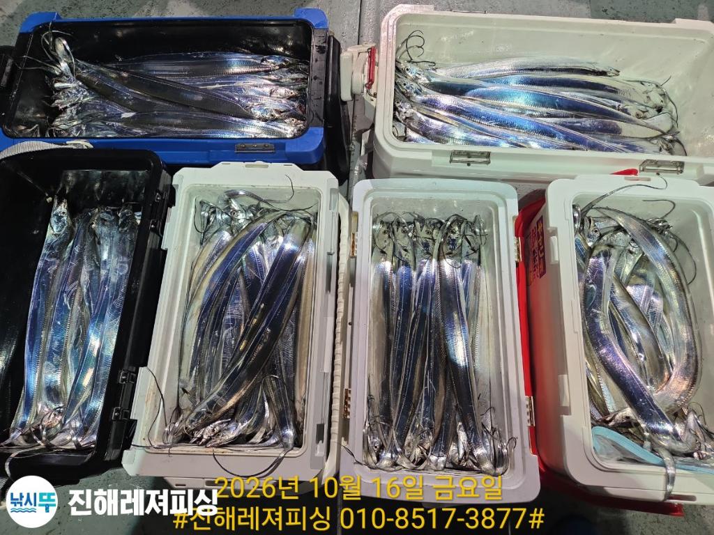 낚시뚜,갈치,진해1부두항,진해레져피싱,낚시뚜10
