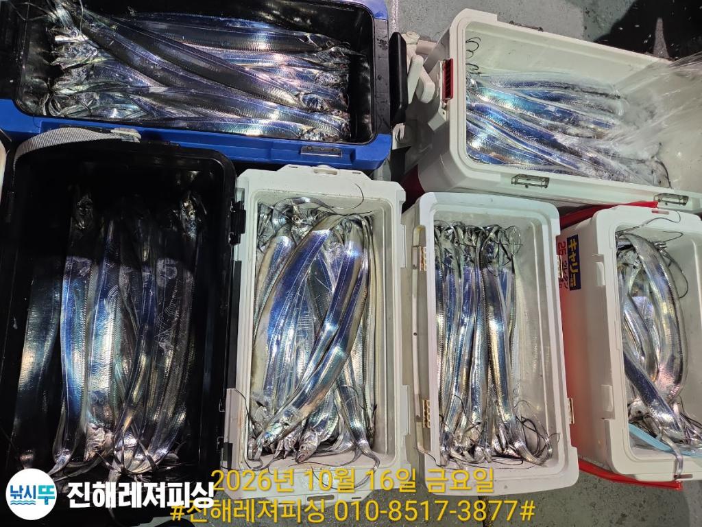 낚시뚜,갈치,진해1부두항,진해레져피싱,낚시뚜9