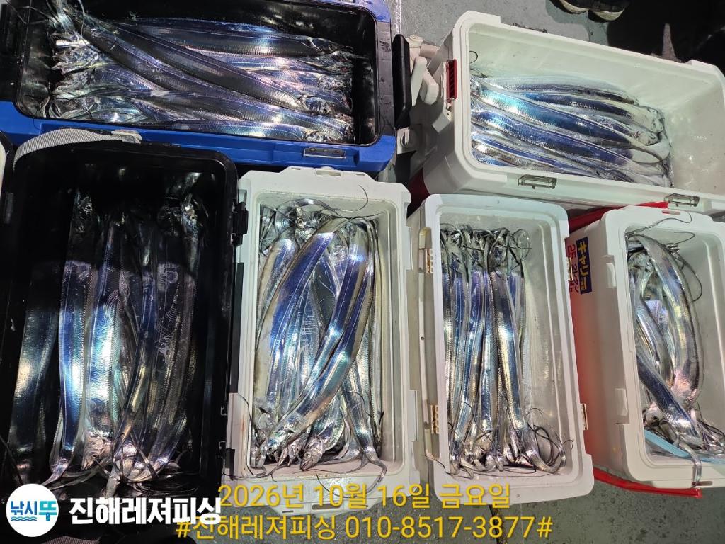 낚시뚜,갈치,진해1부두항,진해레져피싱,낚시뚜8