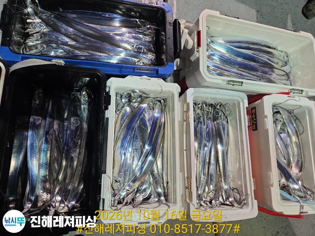 낚시뚜,갈치,진해1부두항,진해레져피싱,낚시뚜7