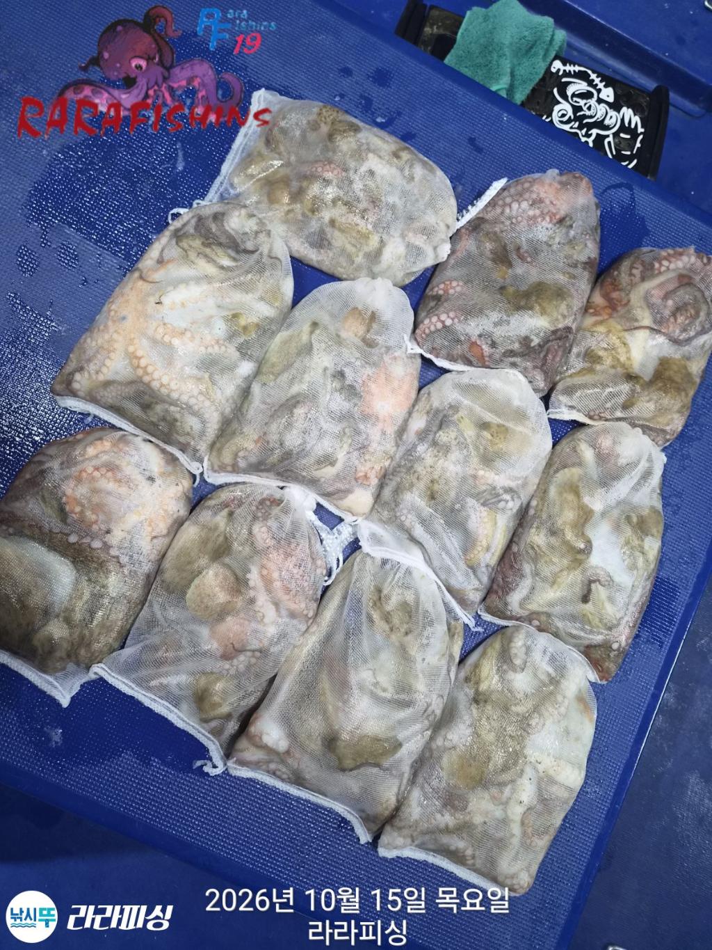 낚시뚜,돌문어,속천항(진해),라라피싱,낚시뚜15