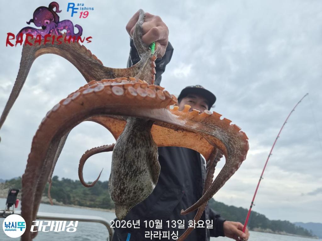 낚시뚜,돌문어,속천항(진해),라라피싱,낚시뚜10