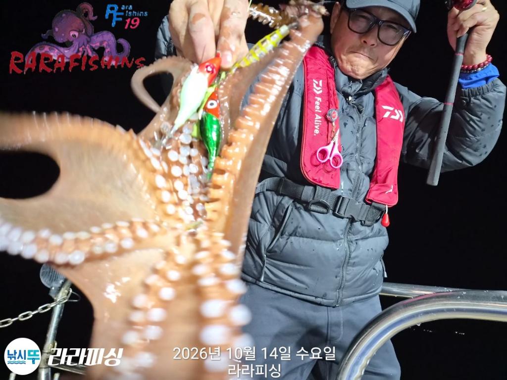 낚시뚜,돌문어,속천항(진해),라라피싱,낚시뚜3