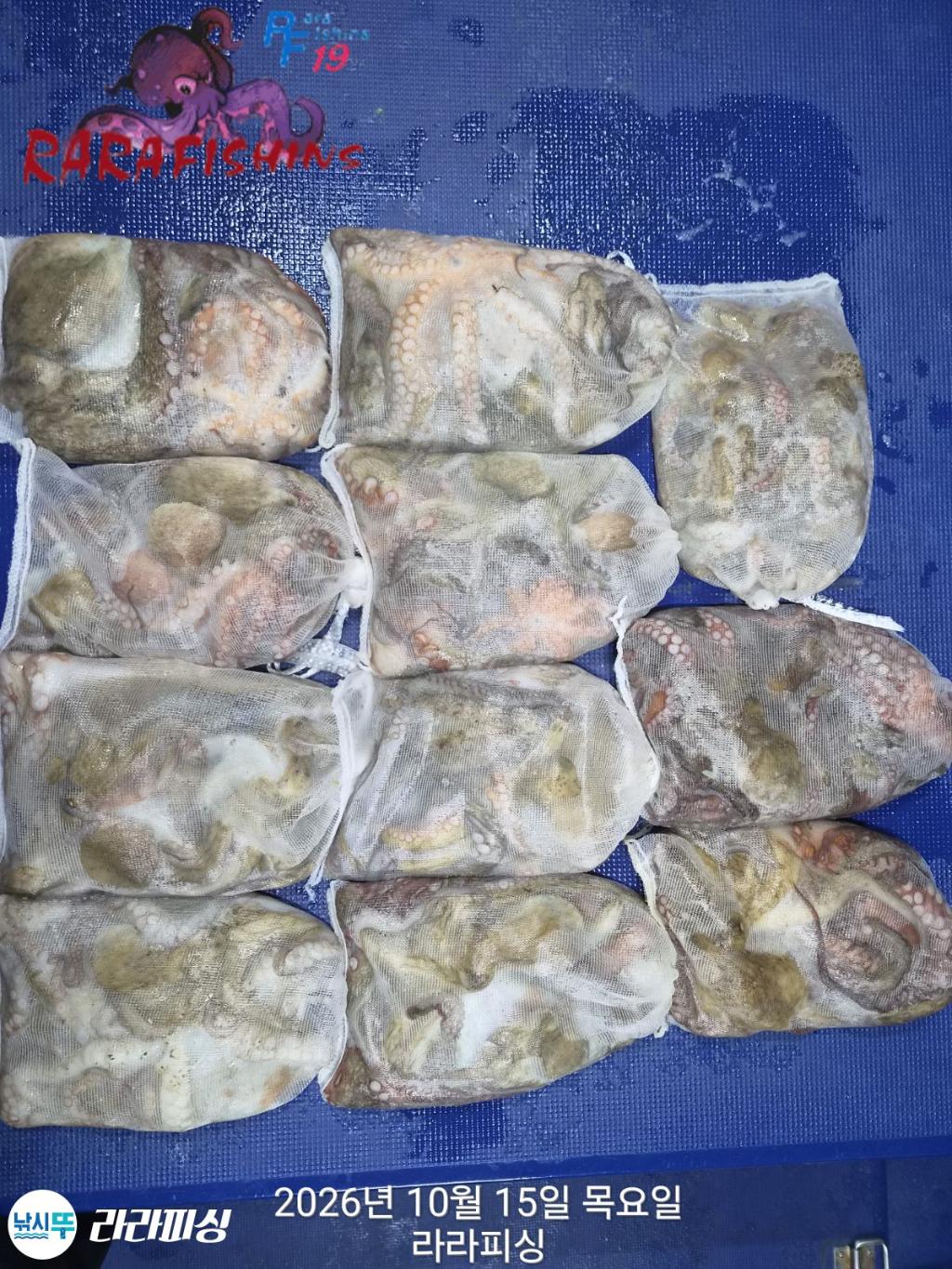 낚시뚜,돌문어,속천항(진해),라라피싱,낚시뚜0