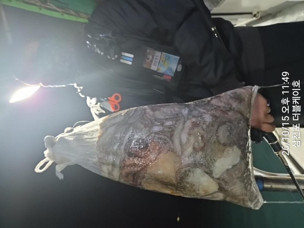 낚시뚜,돌문어,쭈꾸미,삼천포 팔포항,삼천포 더블케이호,낚시뚜29
