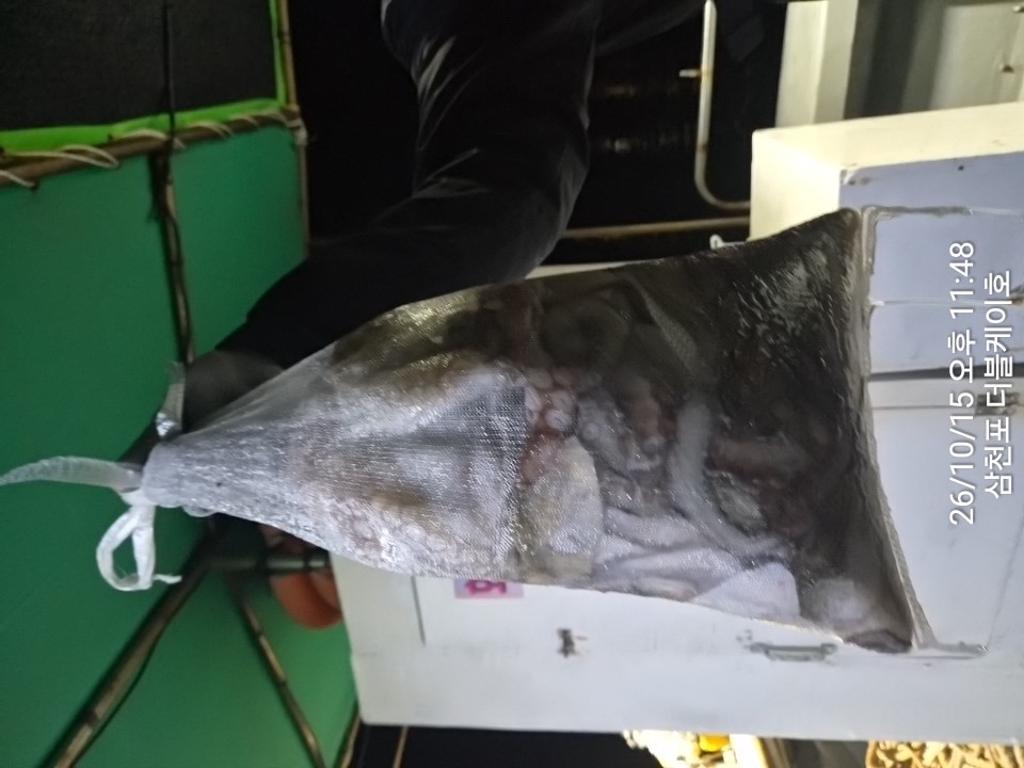 낚시뚜,돌문어,쭈꾸미,삼천포 팔포항,삼천포 더블케이호,낚시뚜19