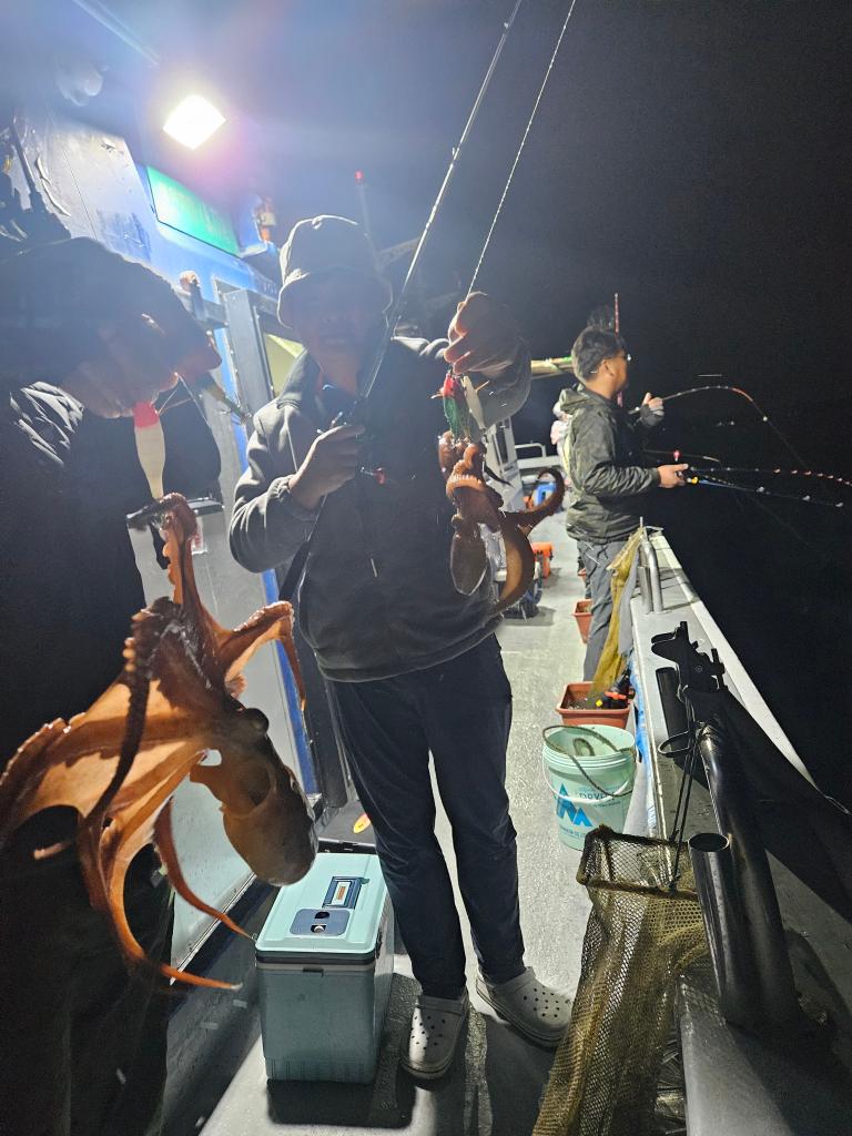낚시뚜,돌문어,쭈꾸미,삼천포 팔포항,삼천포 더블케이호,낚시뚜7