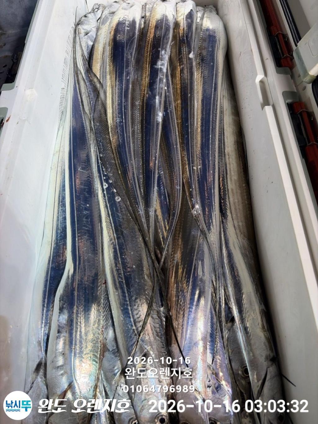 낚시뚜,갈치,완도항,완도 오렌지호,낚시뚜34