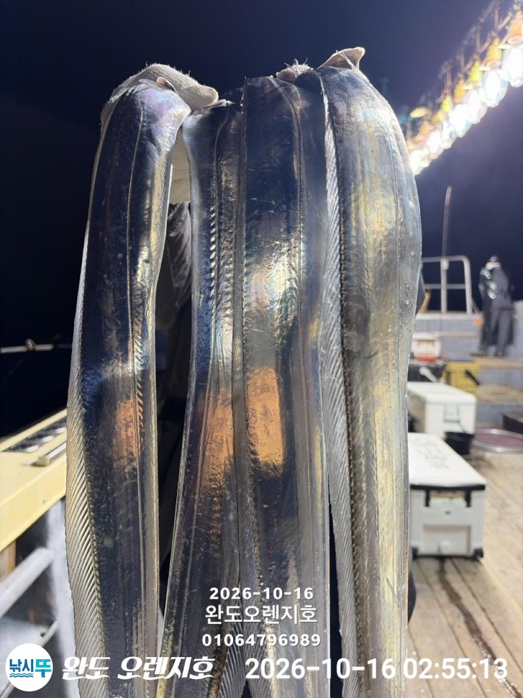 낚시뚜,갈치,완도항,완도 오렌지호,낚시뚜22