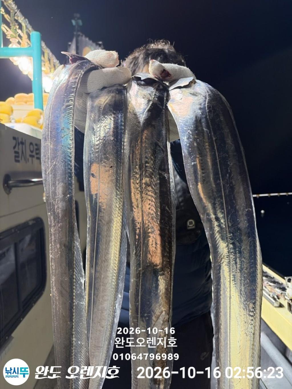 낚시뚜,갈치,완도항,완도 오렌지호,낚시뚜20