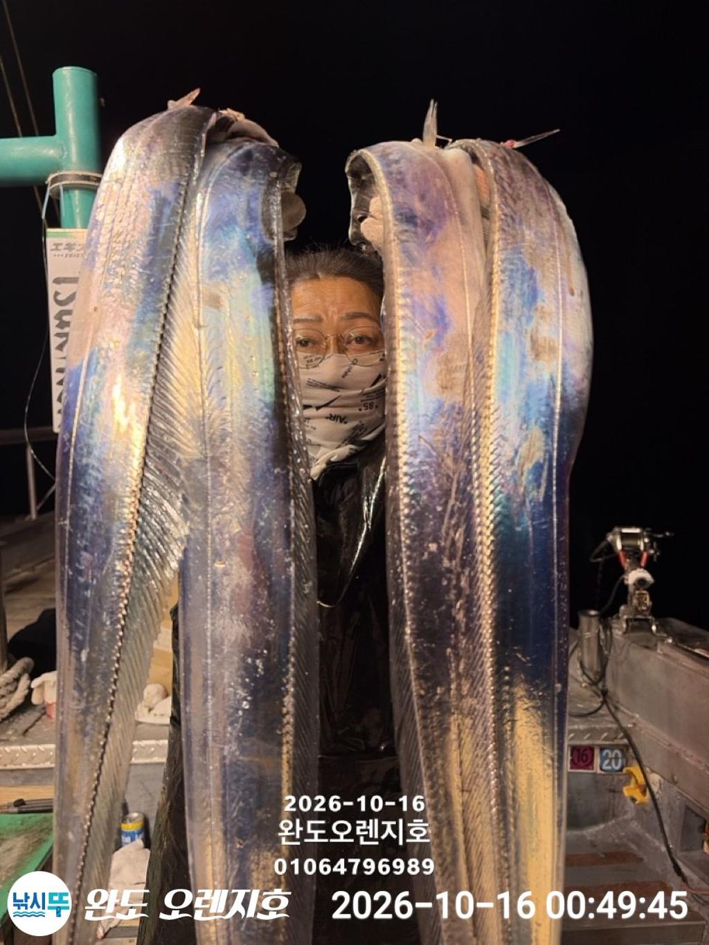 낚시뚜,갈치,완도항,완도 오렌지호,낚시뚜14