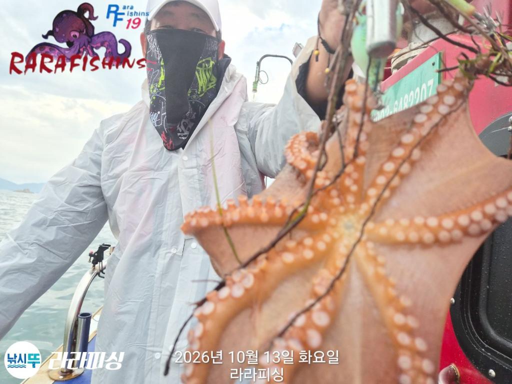 낚시뚜,돌문어,속천항(진해),라라피싱,낚시뚜7