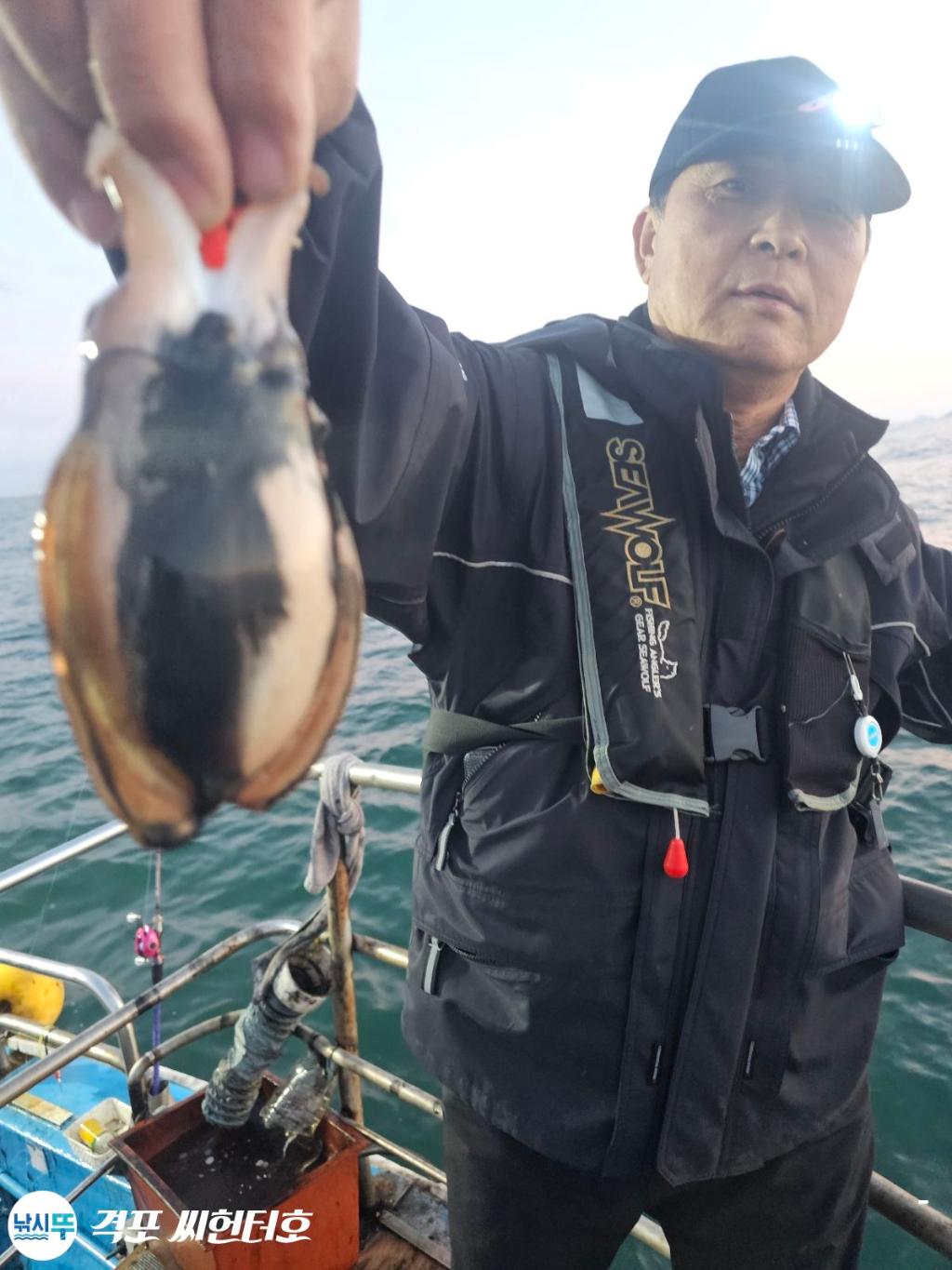 낚시뚜,갑오징어,격포,격포 씨헌터호,낚시뚜7