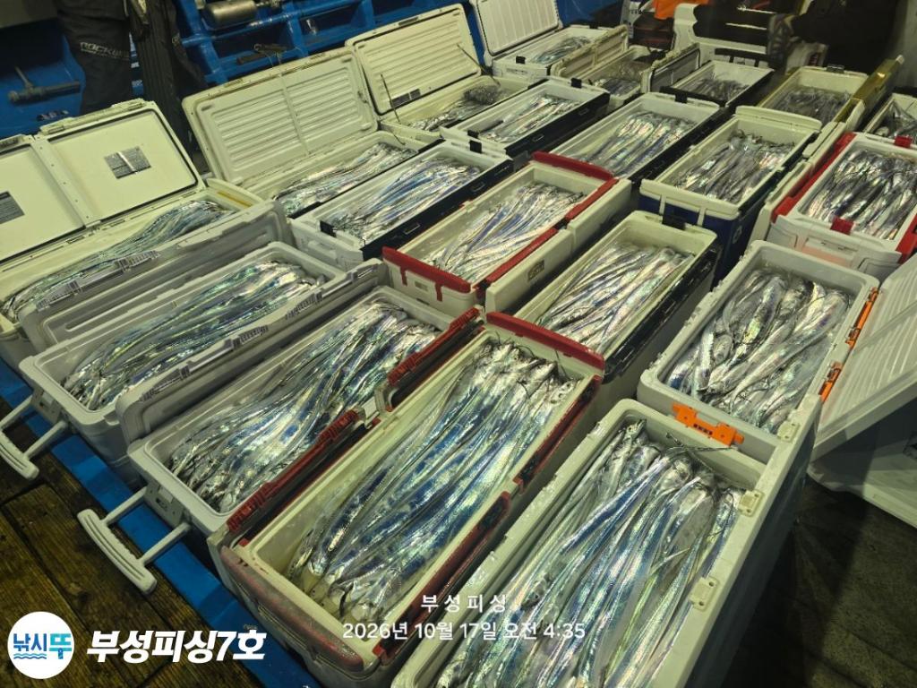 낚시뚜,갈치,통영영운리항,부성피싱7호,낚시뚜2