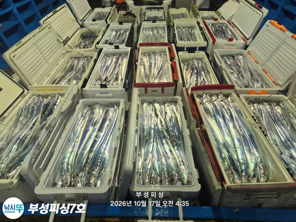낚시뚜,갈치,통영영운리항,부성피싱7호,낚시뚜0