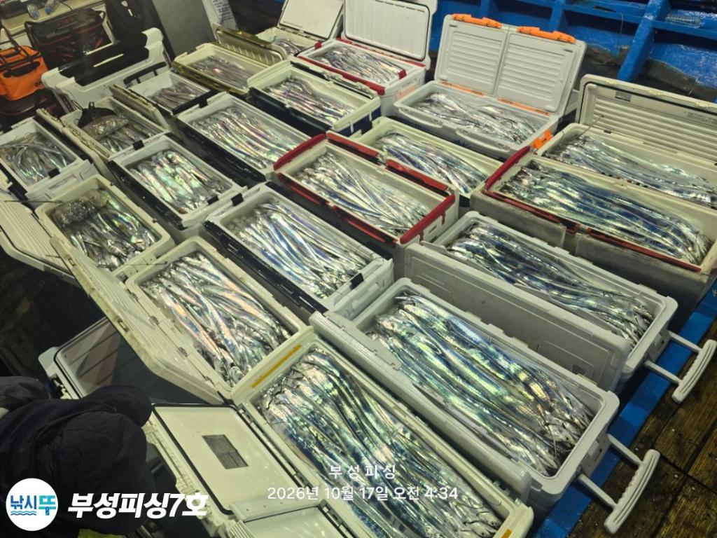 낚시뚜,갈치,통영영운리항,부성피싱7호,낚시뚜30