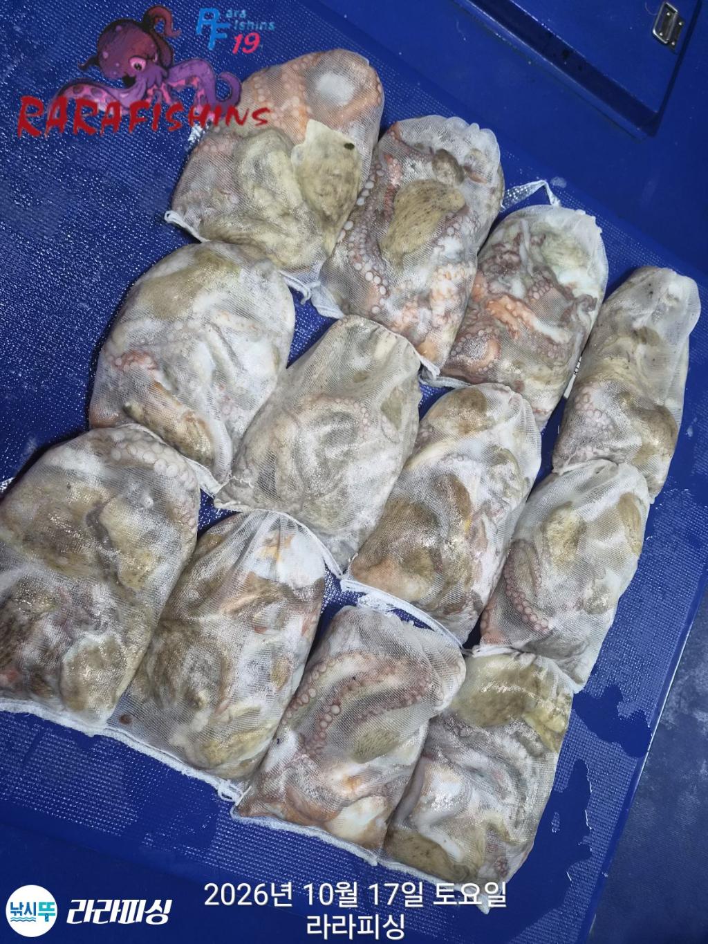 낚시뚜,돌문어,속천항(진해),라라피싱,낚시뚜15