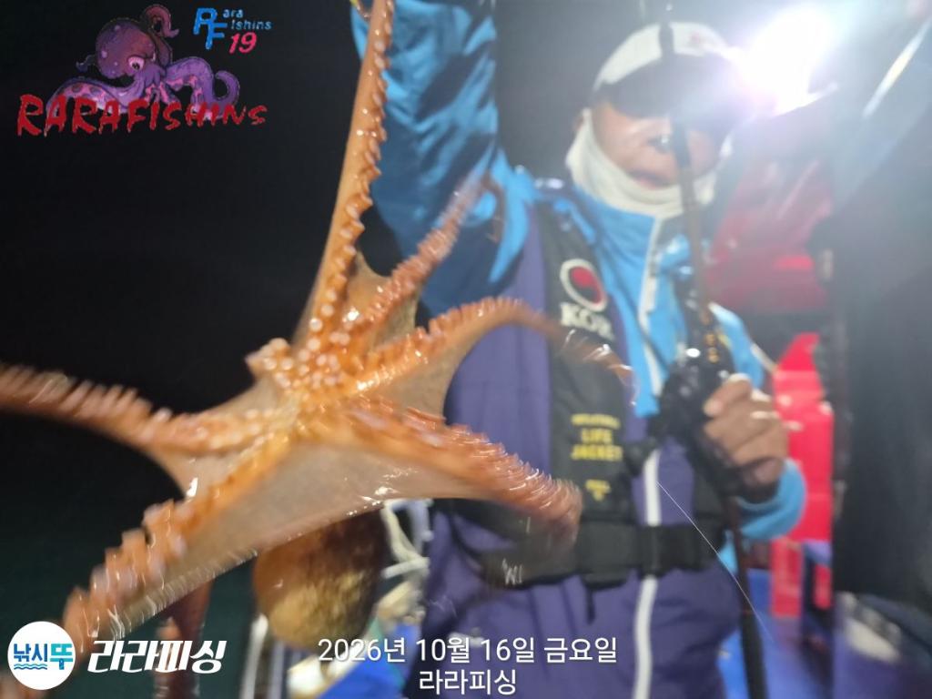낚시뚜,돌문어,속천항(진해),라라피싱,낚시뚜14