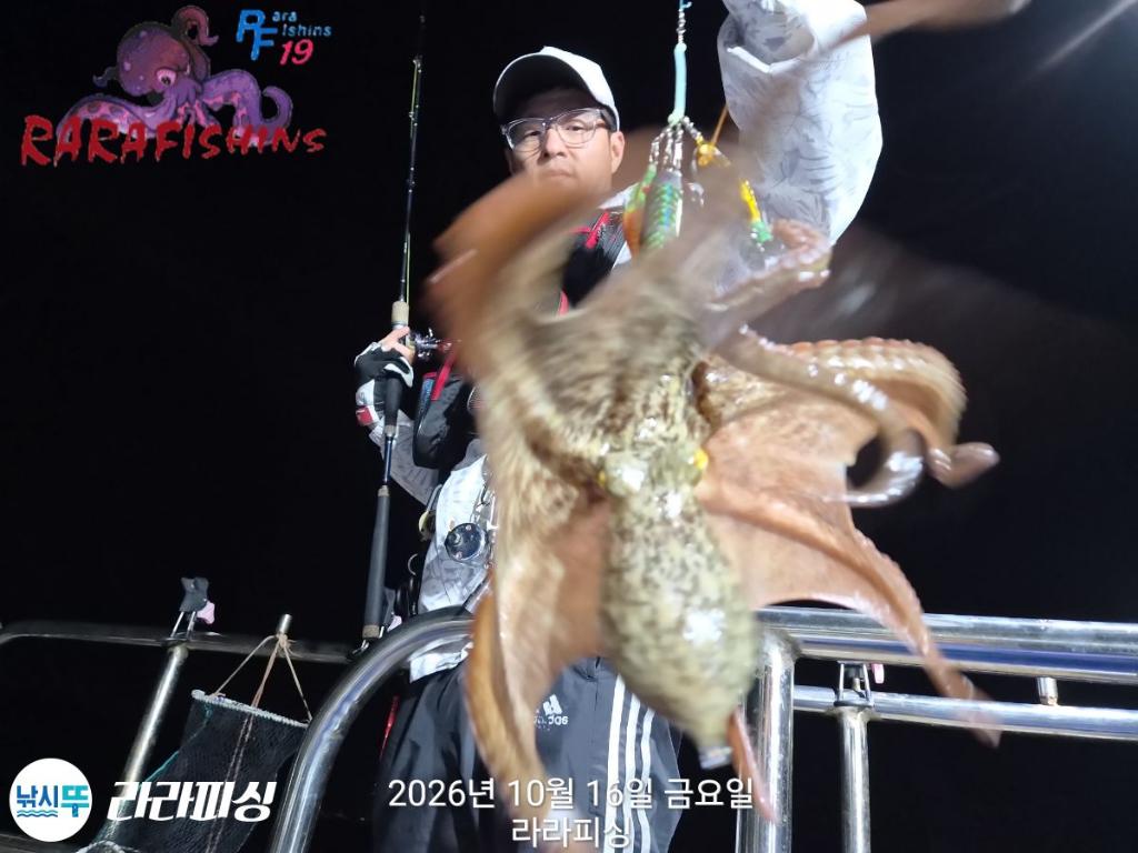낚시뚜,돌문어,속천항(진해),라라피싱,낚시뚜9