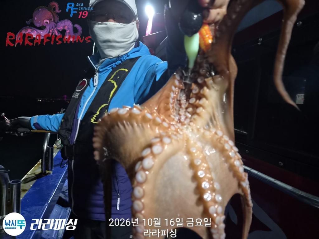 낚시뚜,돌문어,속천항(진해),라라피싱,낚시뚜5