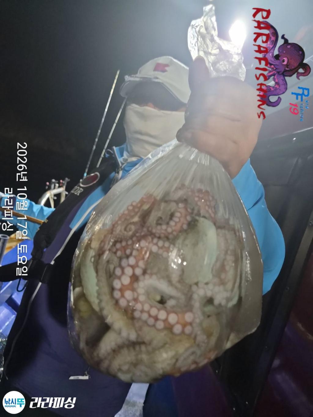 낚시뚜,돌문어,속천항(진해),라라피싱,낚시뚜3
