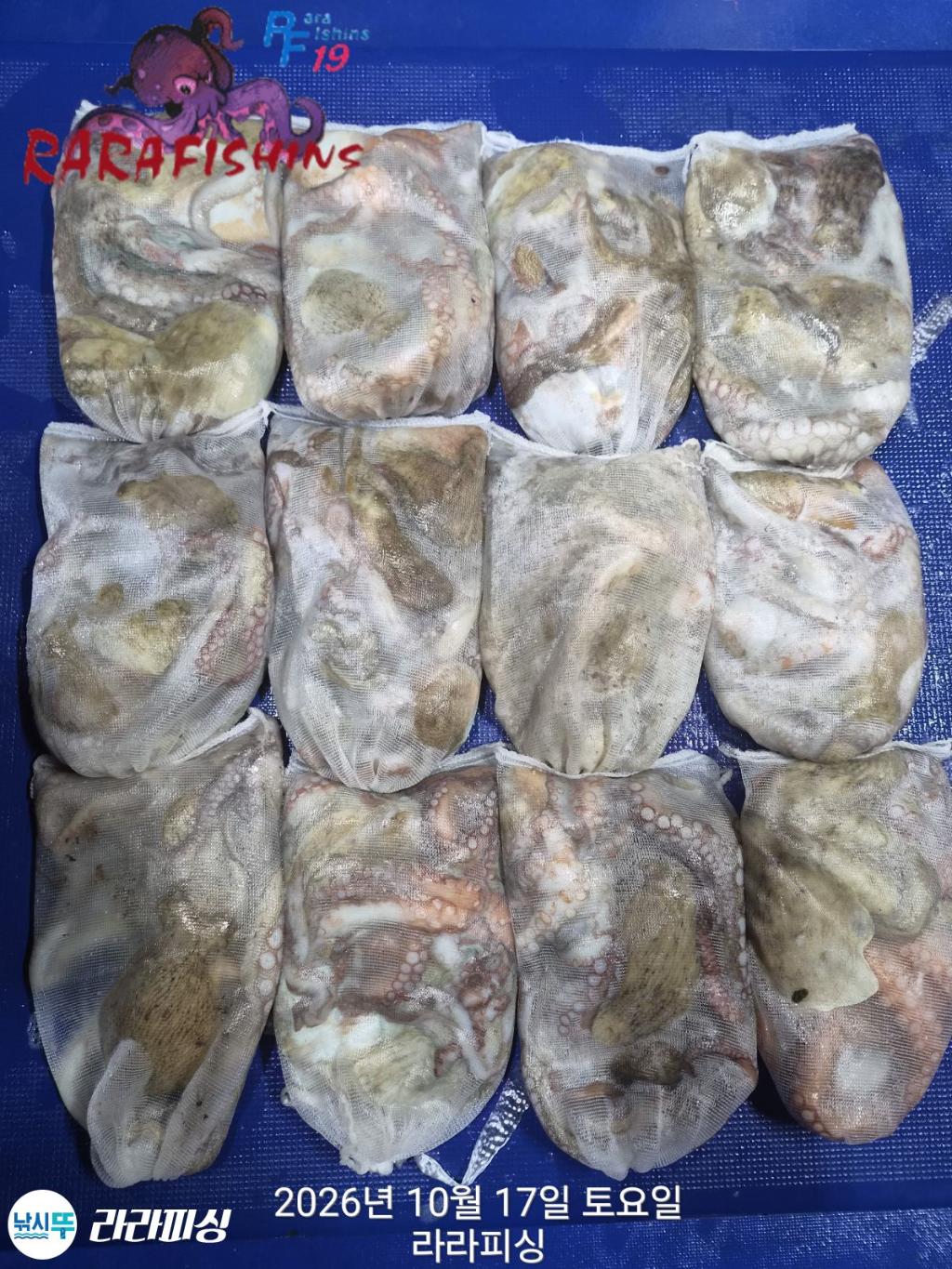 낚시뚜,돌문어,속천항(진해),라라피싱,낚시뚜0