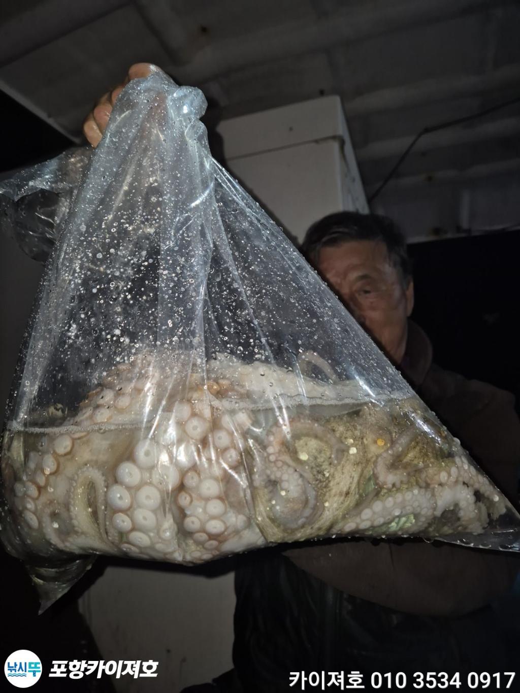 낚시뚜,돌문어,영일만항,포항카이져호,낚시뚜53