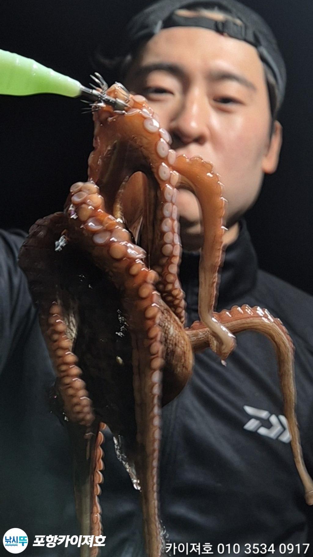 낚시뚜,돌문어,영일만항,포항카이져호,낚시뚜39