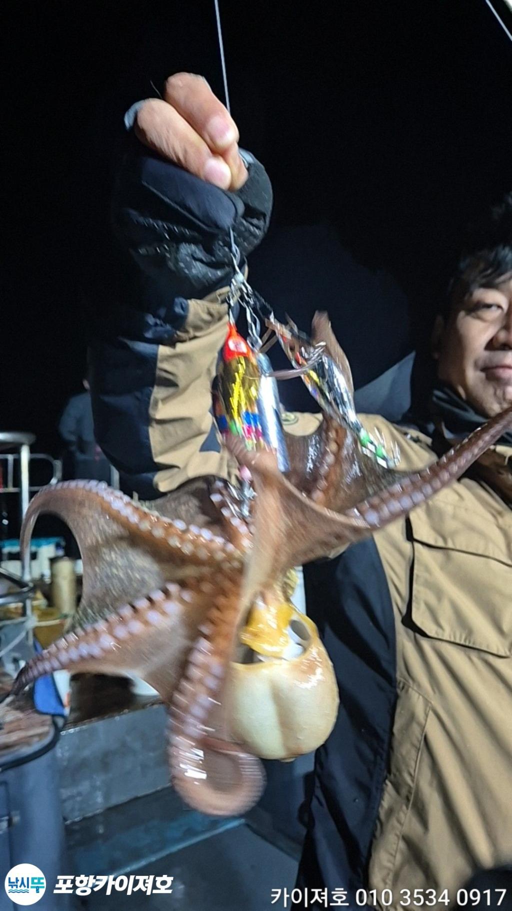 낚시뚜,돌문어,영일만항,포항카이져호,낚시뚜34